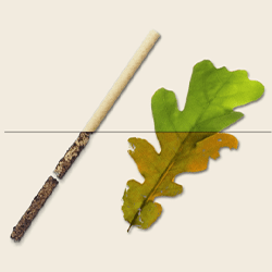 De toenemende vervuiling door microplastic